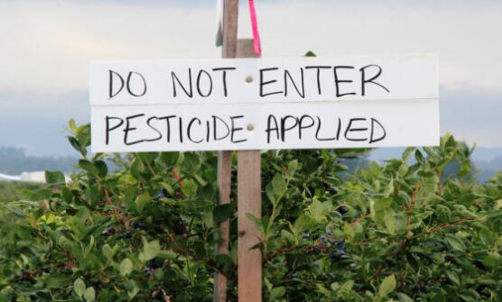 FDA处理对农药化学品毒死蜱禁令的执行