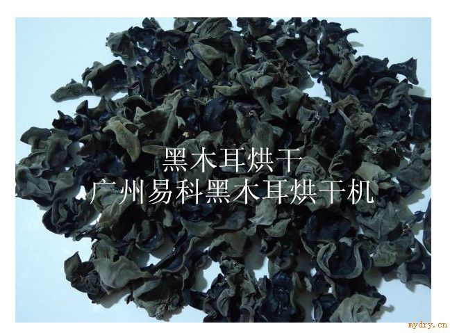 “热销易立诺YK-72RD黑木耳烘干机