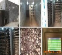 “厂家生产优质菇类热泵烘干设备