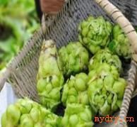 “大头菜热泵烘干设备厂家